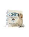 CBD tablets for dogs