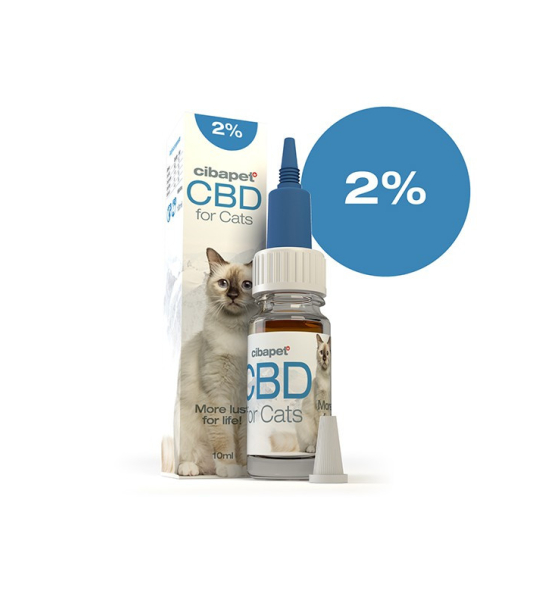 CBD oil for cats 2%