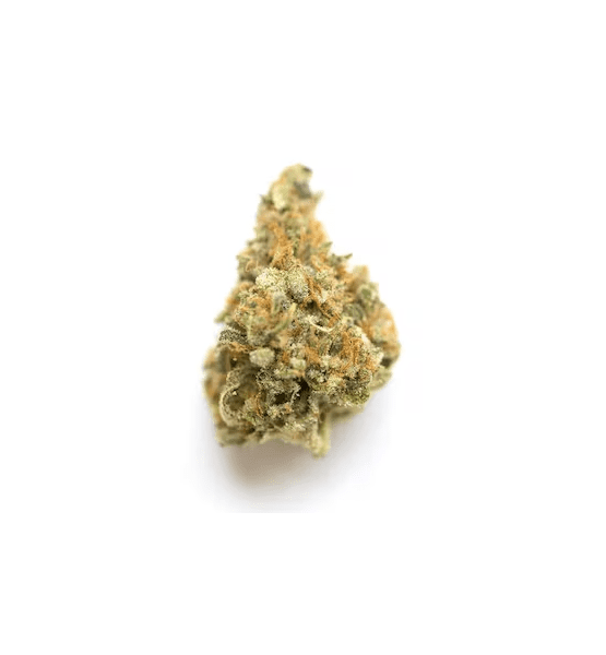 Fleur de CBD Mango Kush Outdoor (23,7 %)