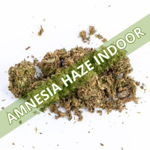 CBD Trim Amnesia Haze Indoor - 20g-100g