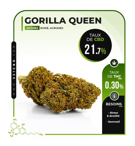 Gorilla Queen CBD 21,7%
