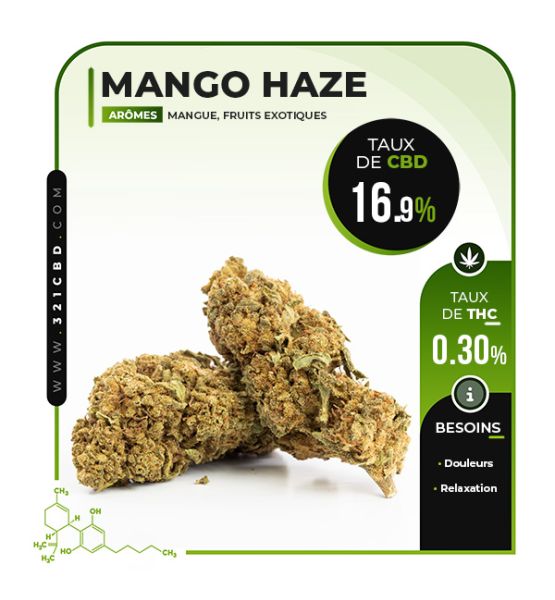 CBD Blüte Mango Haze 16.9%