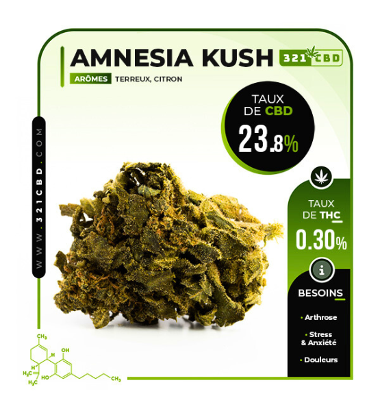 CBD Amnesia Kush 23.8%