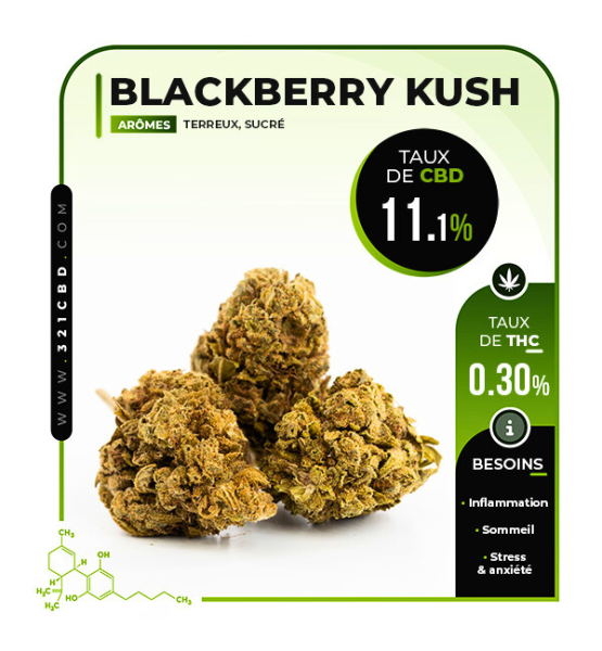 CBD Blackberry Kush 11,1%