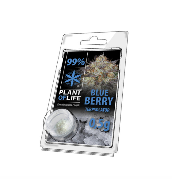 Terpsolator Blueberry 99% CBD - 500mg
