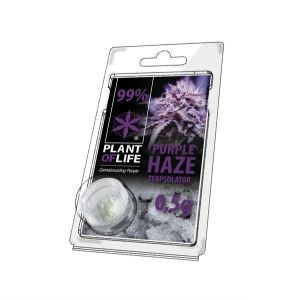Terpsolator Purple Haze 99% CBD - 500mg