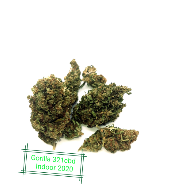CBD Flower Indoor Gorilla Glue 11% (in French)