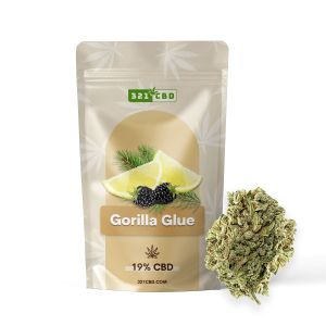 Blume CBD Gorilla Glue Indoor 11% (auf Französisch)