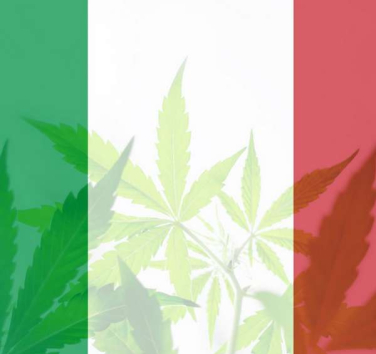 cannabis italie