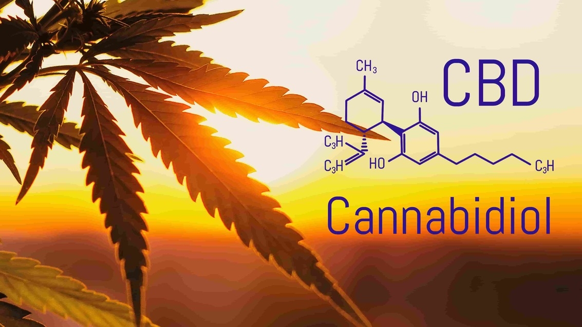 cbd cannabinoides