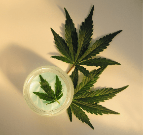 Lexique du cannabis : beuh, weed, shit, wax, THC