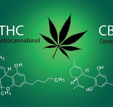THC et CBD