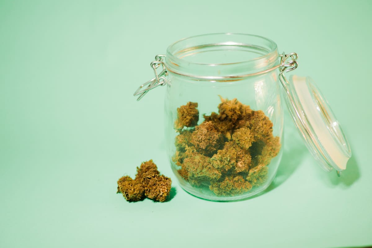 Comment conserver la fleur de CBD ?