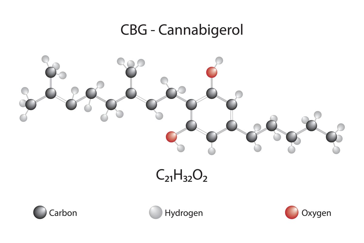 différence entre le CBG et CBD