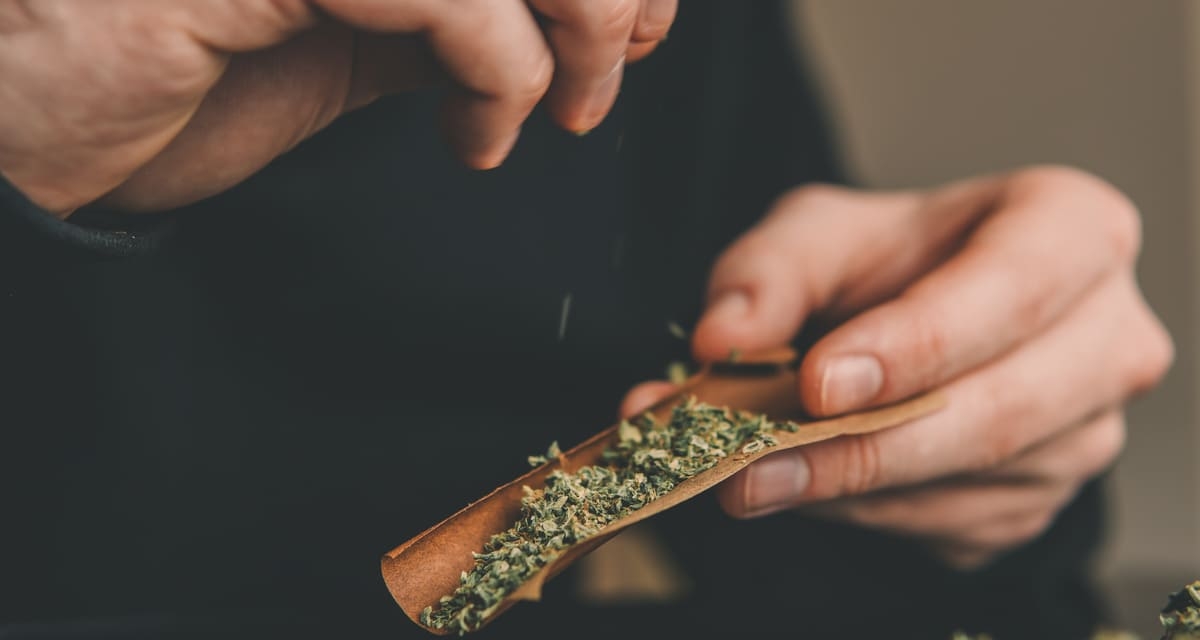 Manger Ou Fumer Du Cannabis : Quelle Est La Différence ? - RQS Blog