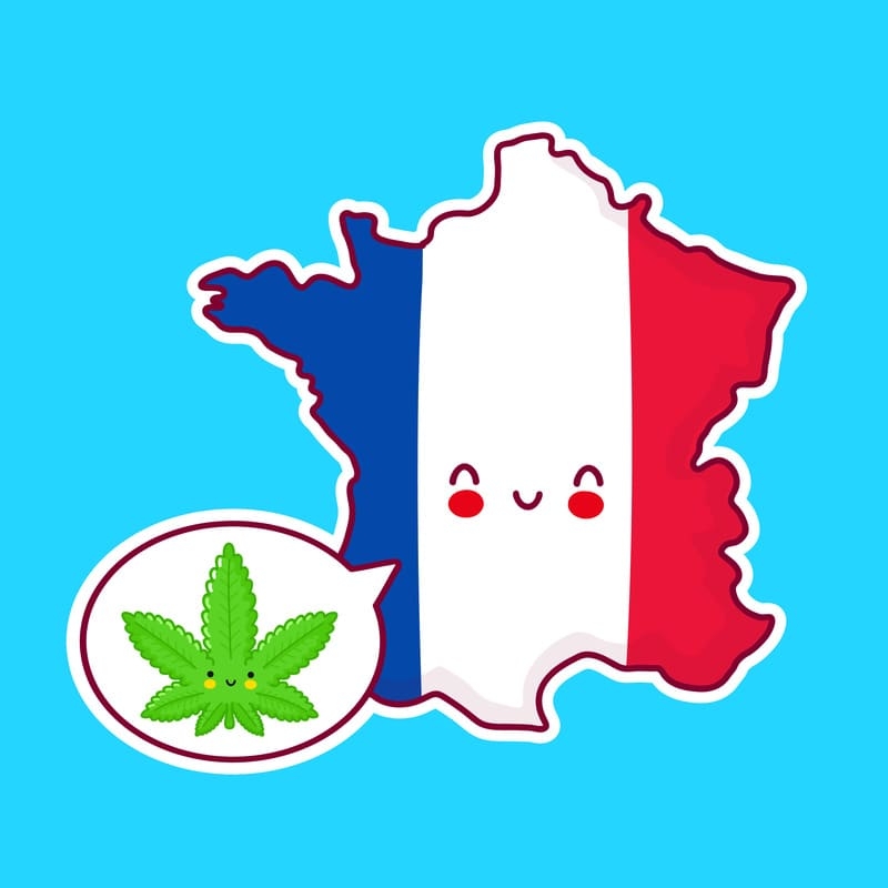 CBD en France