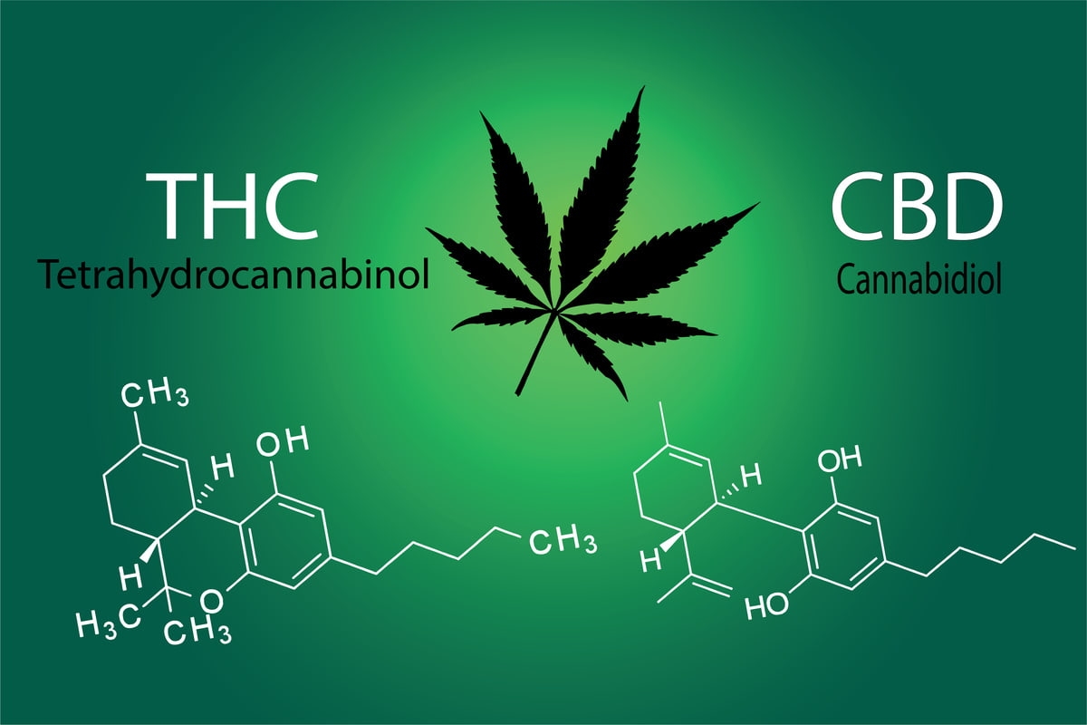 différences entre CBD et THC