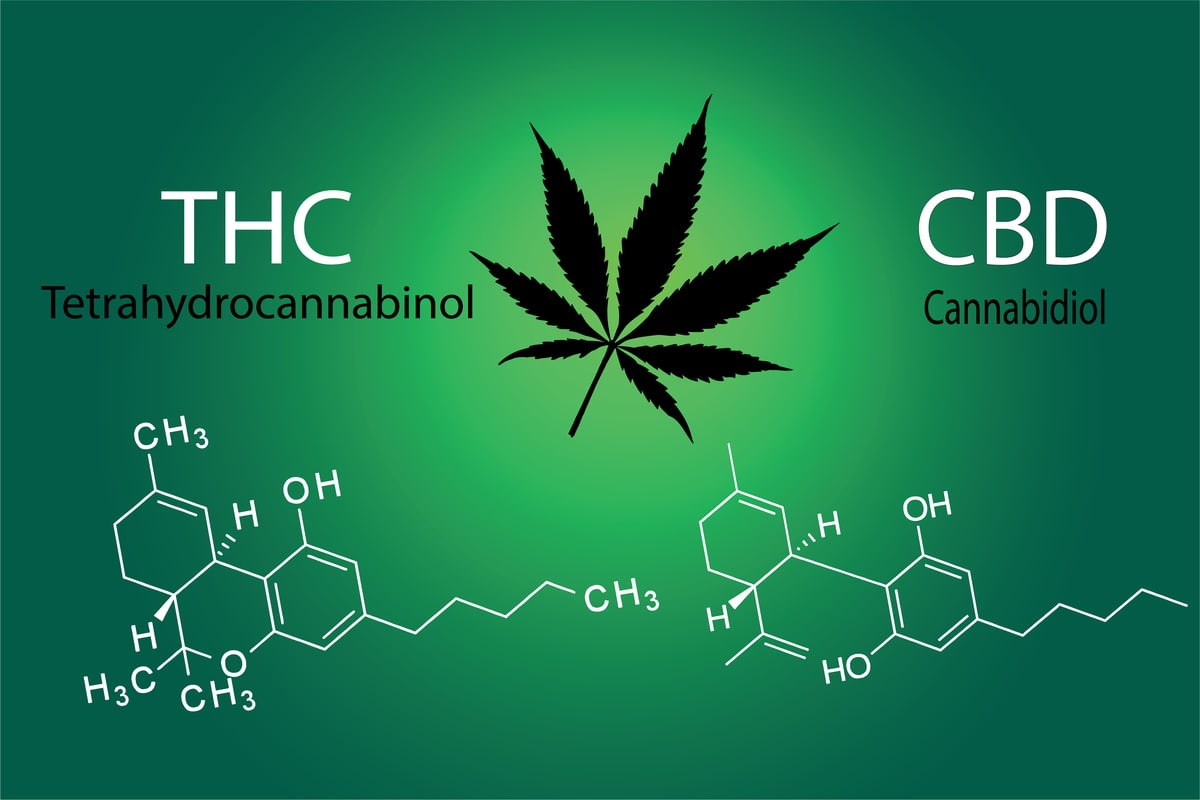 Unterschiede zwischen CBD und THC